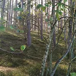 Sosnowe Zacisze - Goscinne Blisko Jeziora ホームステイ