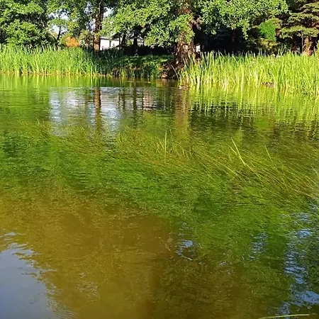Homestay Sosnowe Zacisze - Nowoczesne Blisko Jeziora *