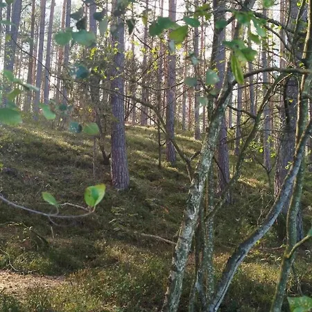 Sosnowe Zacisze - Nowoczesne Blisko Jeziora Homestay