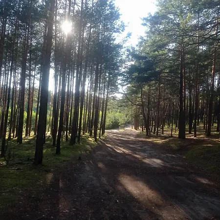 Sosnowe Zacisze - Nowoczesne Blisko Jeziora Homestay *