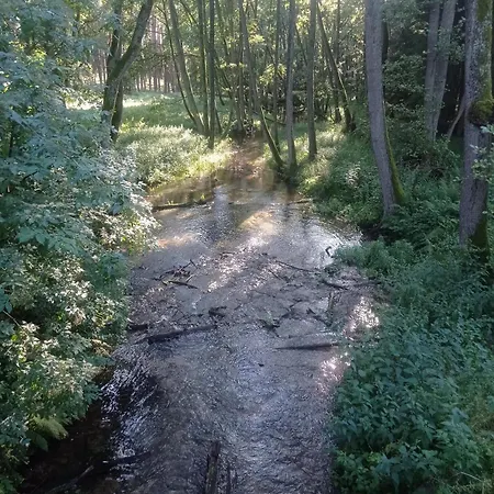 Ubytování v soukromí Sosnowe Zacisze - Goscinne Blisko Jeziora *