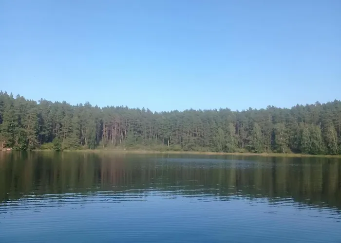 民宿 Sosnowe Zacisze - Goscinne Blisko Jeziora 斯沃尔纳加西耶