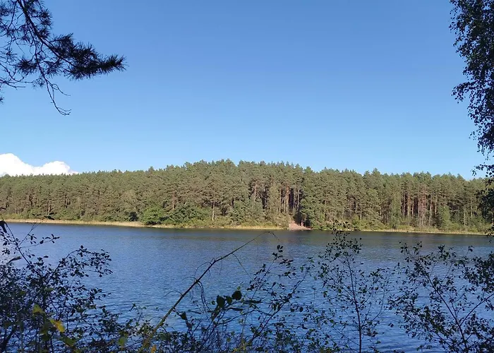 Sosnowe Zacisze - Goscinne Blisko Jeziora *