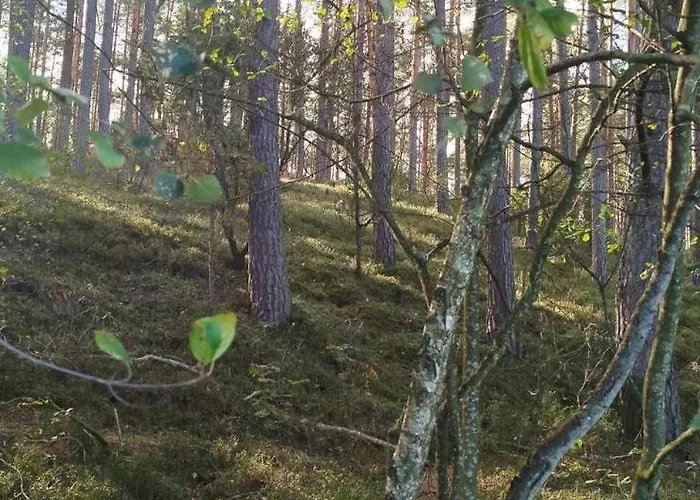 Sosnowe Zacisze - Goscinne Blisko Jeziora 民宿