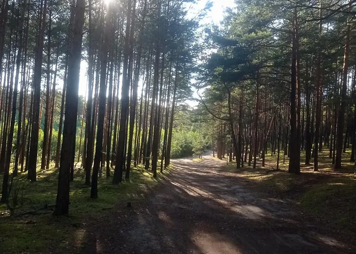 Sosnowe Zacisze - Goscinne Blisko Jeziora 民宿 *