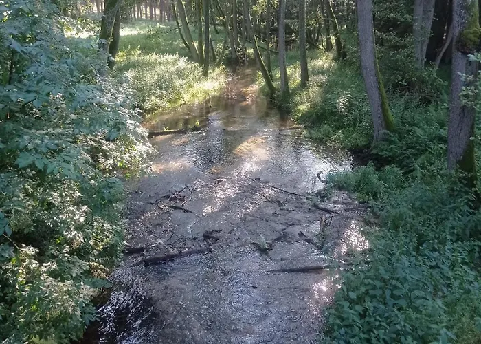 民宿 Sosnowe Zacisze - Goscinne Blisko Jeziora *