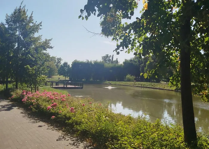 民宿 Sosnowe Zacisze - Goscinne Blisko Jeziora 斯沃尔纳加西耶