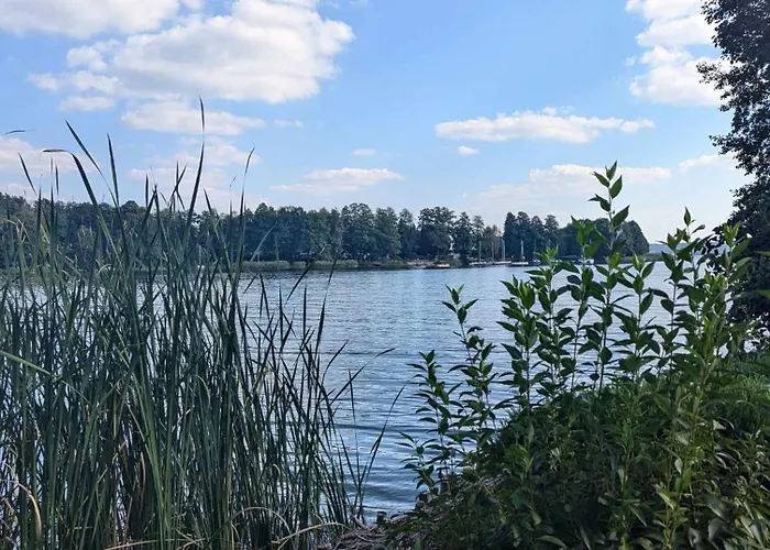 Sosnowe Zacisze - Goscinne Blisko Jeziora 民宿 斯沃尔纳加西耶