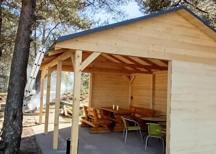 Sosnowe Zacisze - Goscinne Blisko Jeziora 民宿 斯沃尔纳加西耶